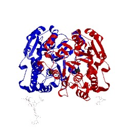 Image of CATH 1s4n