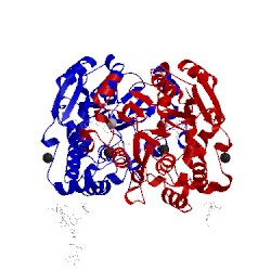 Image of CATH 1s4p