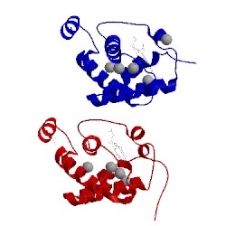 Image of CATH 1s56