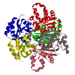 Image of CATH 1s59