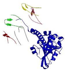 Image of CATH 1s5b