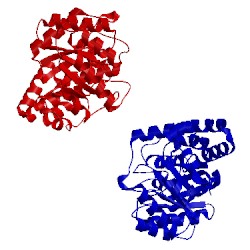 Image of CATH 1s5t