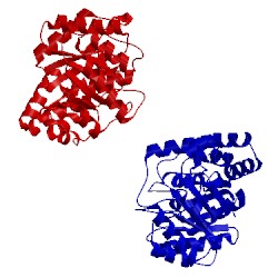 Image of CATH 1s5w