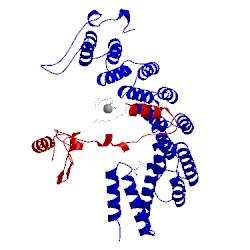 Image of CATH 1s63