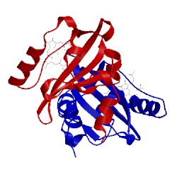Image of CATH 1s66