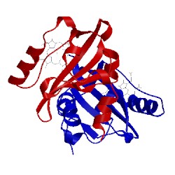 Image of CATH 1s67