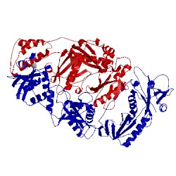 Image of CATH 1s6p