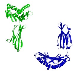 Image of CATH 1s7v