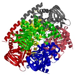 Image of CATH 1s80