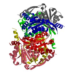 Image of CATH 1s89