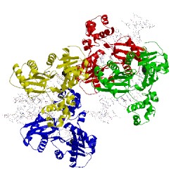 Image of CATH 1s97