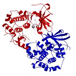 Image of CATH 1s9i