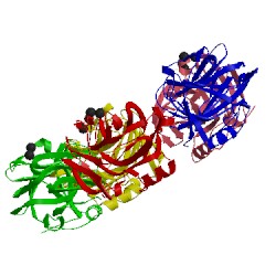 Image of CATH 1sac