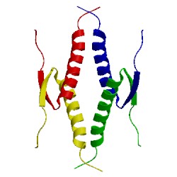 Image of CATH 1sae