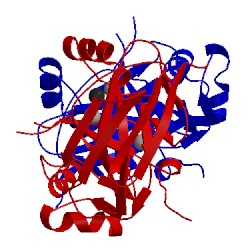 Image of CATH 1saw