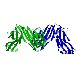 Image of CATH 1sbb