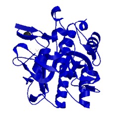 Image of CATH 1sbi