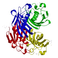 Image of CATH 1sbk