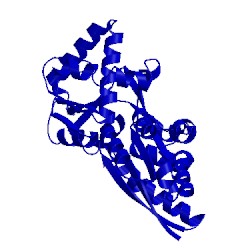 Image of CATH 1sbp