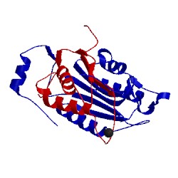 Image of CATH 1sc1