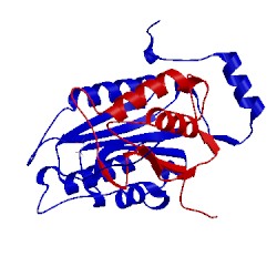 Image of CATH 1sc3