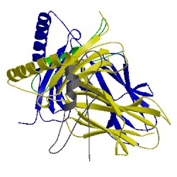 Image of CATH 1seb