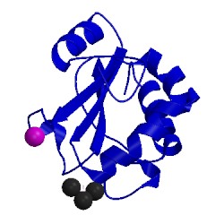 Image of CATH 1sen