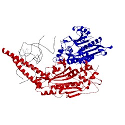 Image of CATH 1ser