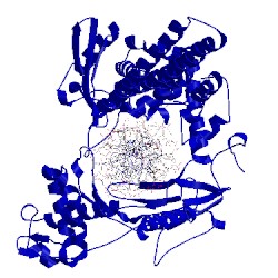 Image of CATH 1seu