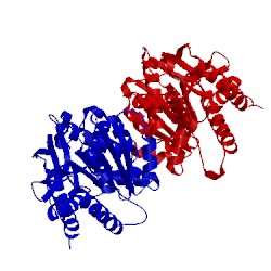 Image of CATH 1sev