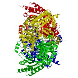 Image of CATH 1sf2