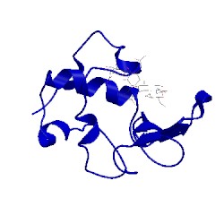 Image of CATH 1sf7