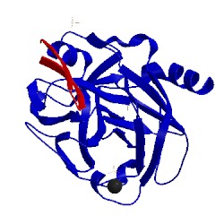 Image of CATH 1sfi