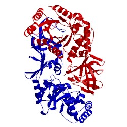 Image of CATH 1sft