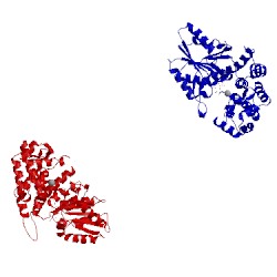 Image of CATH 1sg6