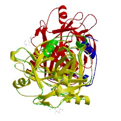 Image of CATH 1sgi