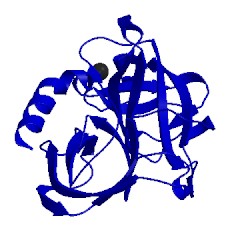 Image of CATH 1sgt