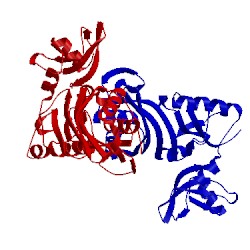 Image of CATH 1sgv