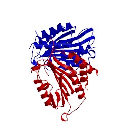 Image of CATH 1shl