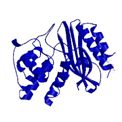 Image of CATH 1shv