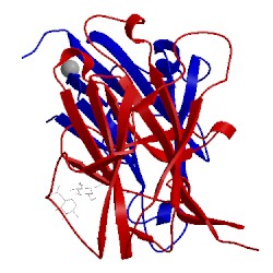 Image of CATH 1shw