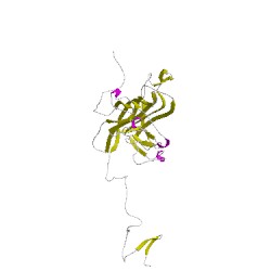 Image of CATH 1sidA00