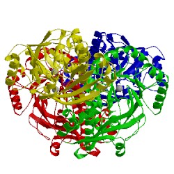 Image of CATH 1sja