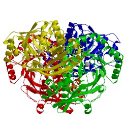 Image of CATH 1sjc