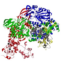 Image of CATH 1sk6