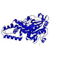 Image of CATH 1skb