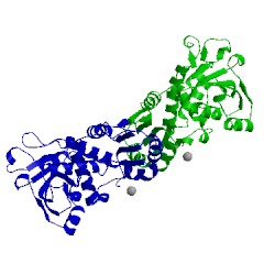 Image of CATH 1sku