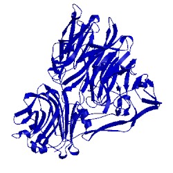 Image of CATH 1sll