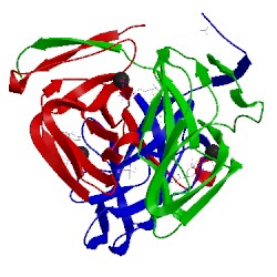 Image of CATH 1sm8