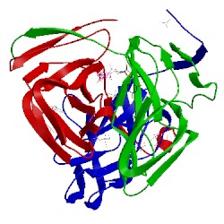 Image of CATH 1smc